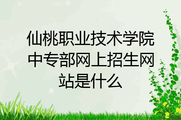 仙桃职业技术学院中专部网上招生网站是什么