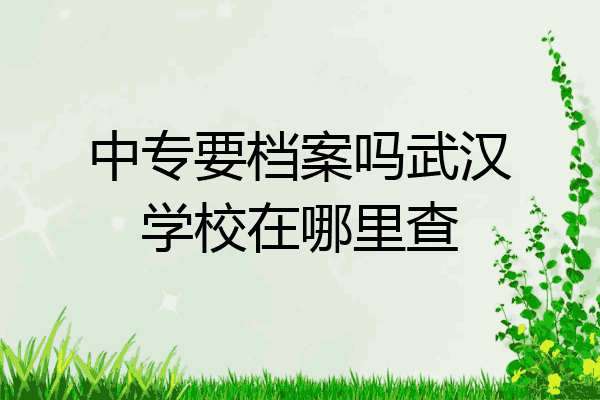中专要档案吗武汉学校在哪里查