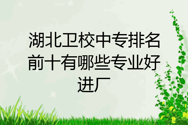 湖北卫校中专排名前十有哪些专业好进厂