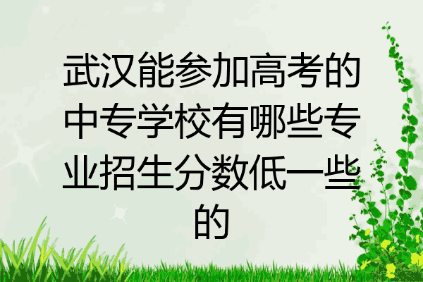 武汉能参加高考的中专学校有哪些专业招生分数低一些的