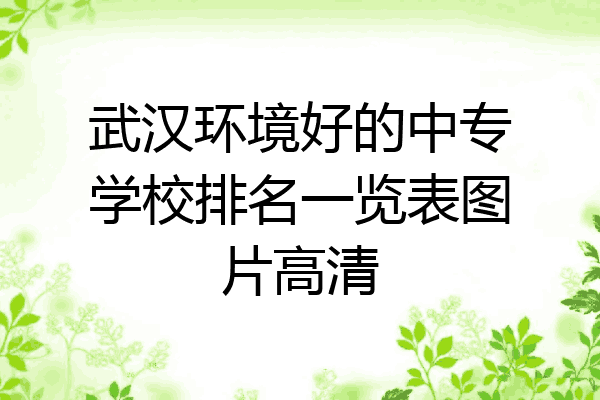 武汉环境好的中专学校排名一览表图片高清