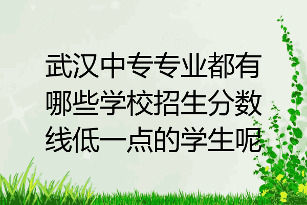 武汉中专专业都有哪些学校招生分数线低一点的学生呢