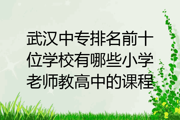 武汉中专排名前十位学校有哪些小学老师教高中的课程