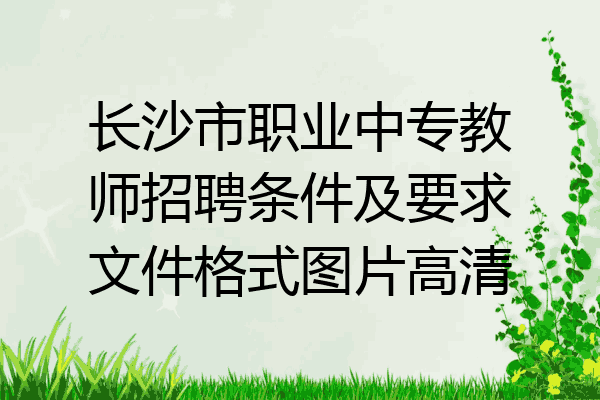 长沙市职业中专教师招聘条件及要求文件格式图片高清