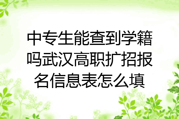 中专生能查到学籍吗武汉高职扩招报名信息表怎么填