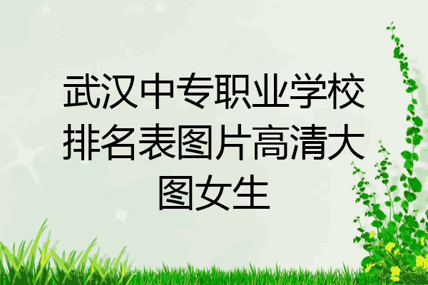 武汉中专职业学校排名表图片高清大图女生