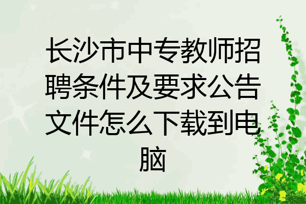 长沙市中专教师招聘条件及要求公告文件怎么下载到电脑