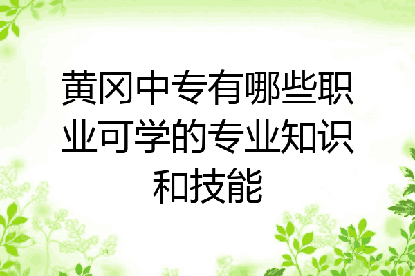 黄冈中专有哪些职业可学的专业知识和技能