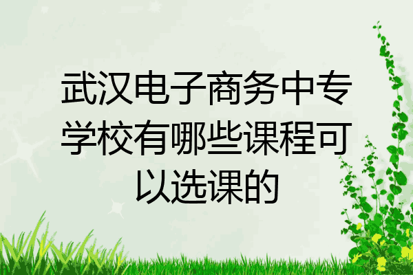 武汉电子商务中专学校有哪些课程可以选课的