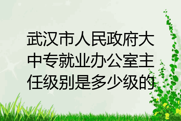 武汉市人民政府大中专就业办公室主任级别是多少级的