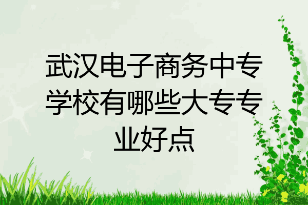 武汉电子商务中专学校有哪些大专专业好点