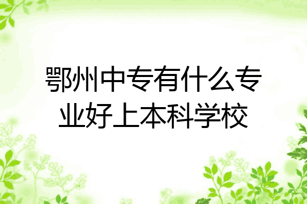 鄂州中专有什么专业好上本科学校