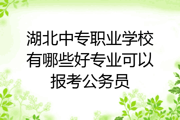 湖北中专职业学校有哪些好专业可以报考公务员