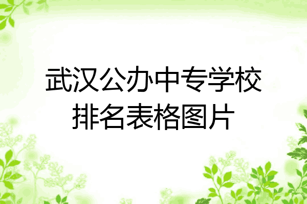 武汉公办中专学校排名表格图片