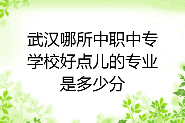 武汉哪所中职中专学校好点儿的专业是多少分