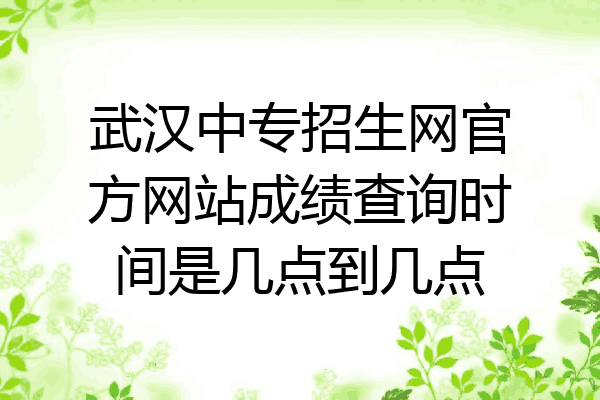 武汉中专招生网官方网站成绩查询时间是几点到几点