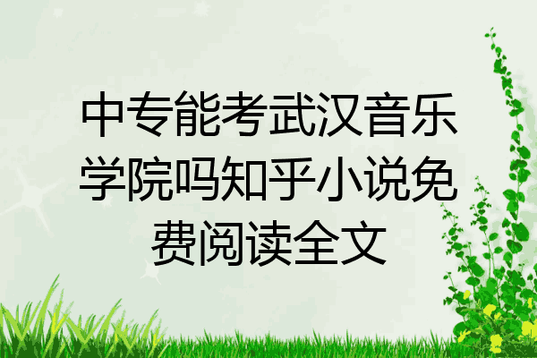 中专能考武汉音乐学院吗知乎小说免费阅读全文