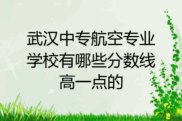 武汉中专航空专业学校有哪些分数线高一点的