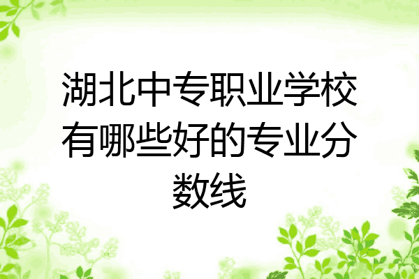 湖北中专职业学校有哪些好的专业分数线