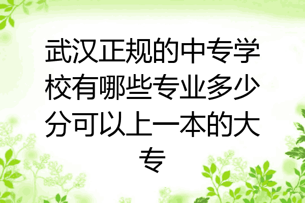 武汉正规的中专学校有哪些专业多少分可以上一本的大专