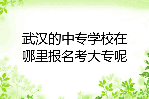 武汉的中专学校在哪里报名考大专呢