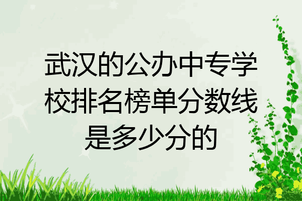 武汉的公办中专学校排名榜单分数线是多少分的