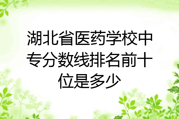 湖北省医药学校中专分数线排名前十位是多少