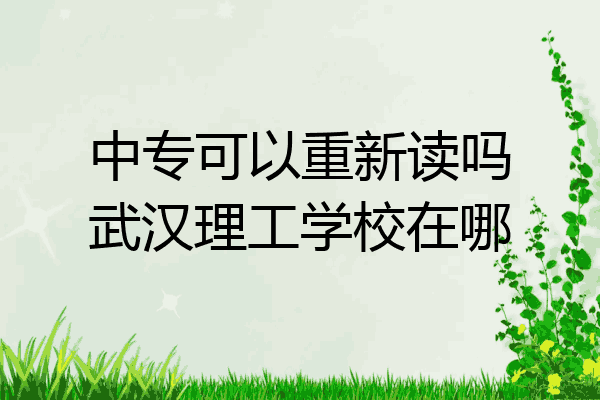 中专可以重新读吗武汉理工学校在哪