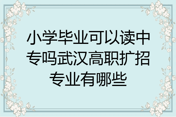 小学毕业可以读中专吗武汉高职扩招专业有哪些