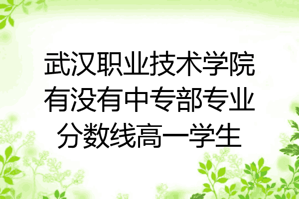 武汉职业技术学院有没有中专部专业分数线高一学生