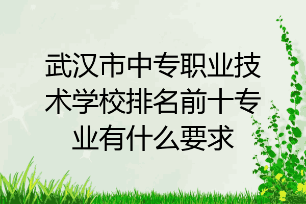 武汉市中专职业技术学校排名前十专业有什么要求
