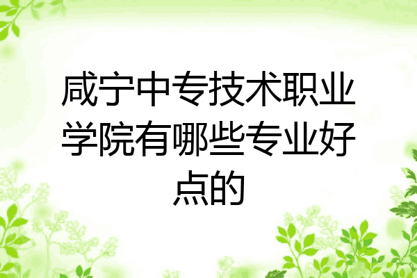 咸宁中专技术职业学院有哪些专业好点的