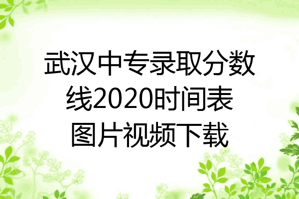 武汉中专录取分数线2020时间表图片视频下载