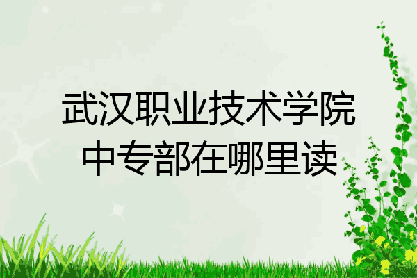 武汉职业技术学院中专部在哪里读