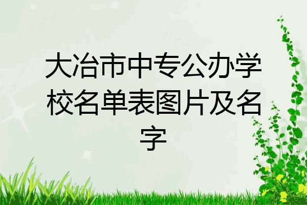 大冶市中专公办学校名单表图片及名字