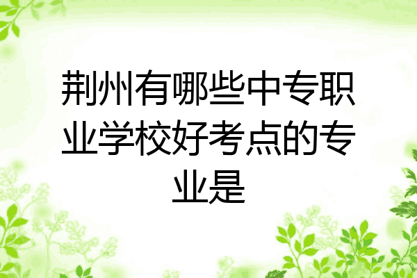 荆州有哪些中专职业学校好考点的专业是