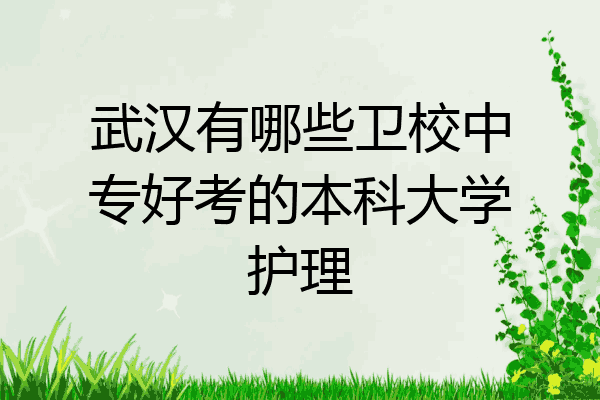 武汉有哪些卫校中专好考的本科大学护理