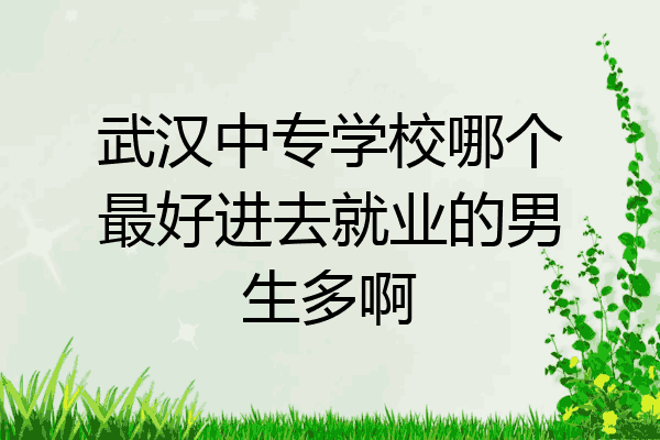 武汉中专学校哪个最好进去就业的男生多啊