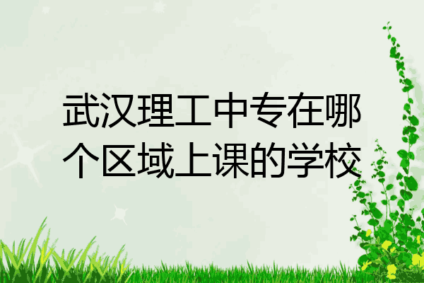 武汉理工中专在哪个区域上课的学校