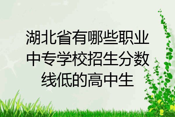 湖北省有哪些职业中专学校招生分数线低的高中生