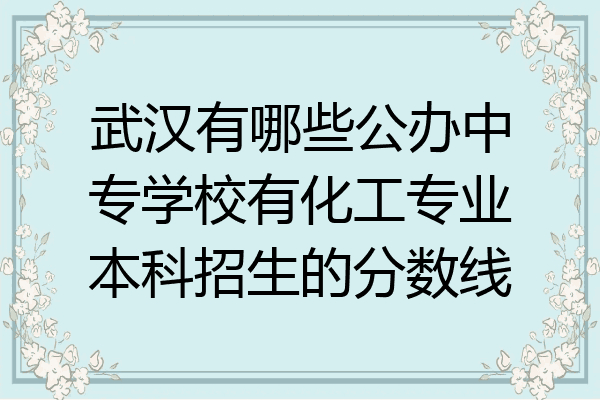 武汉有哪些公办中专学校有化工专业本科招生的分数线
