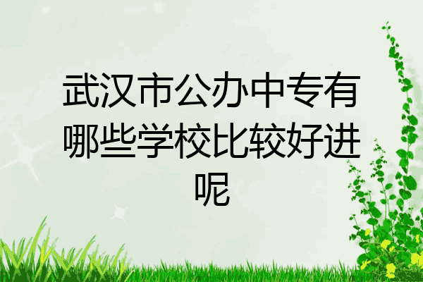 武汉市公办中专有哪些学校比较好进呢