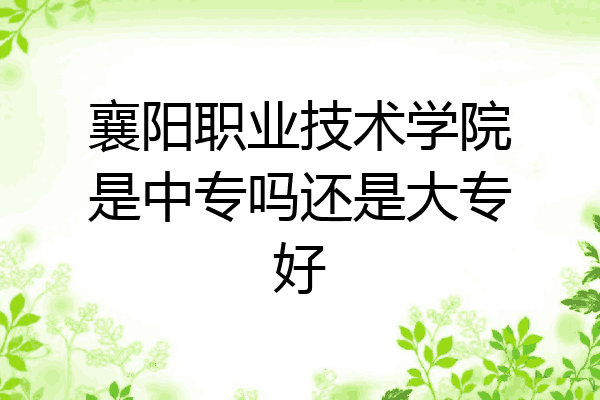 襄阳职业技术学院是中专吗还是大专好