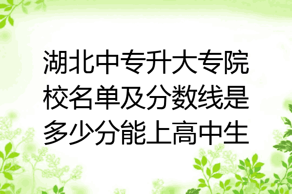 湖北中专升大专院校名单及分数线是多少分能上高中生
