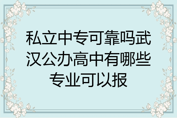 私立中专可靠吗武汉公办高中有哪些专业可以报