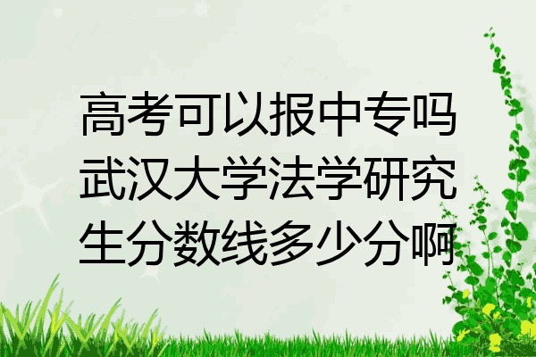 高考可以报中专吗武汉大学法学研究生分数线多少分啊
