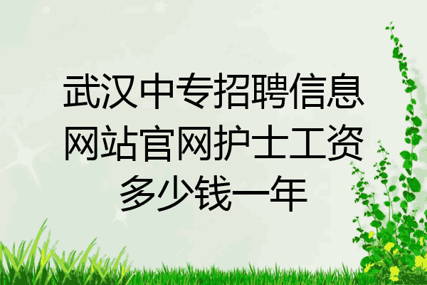 武汉中专招聘信息网站官网护士工资多少钱一年