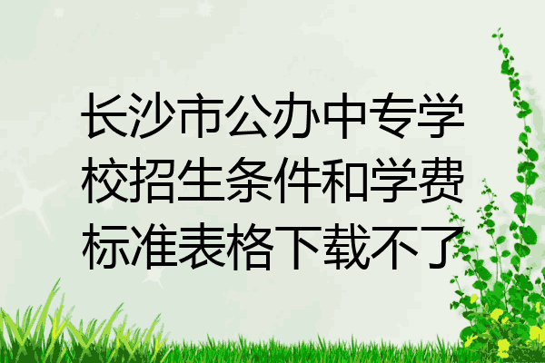 长沙市公办中专学校招生条件和学费标准表格下载不了