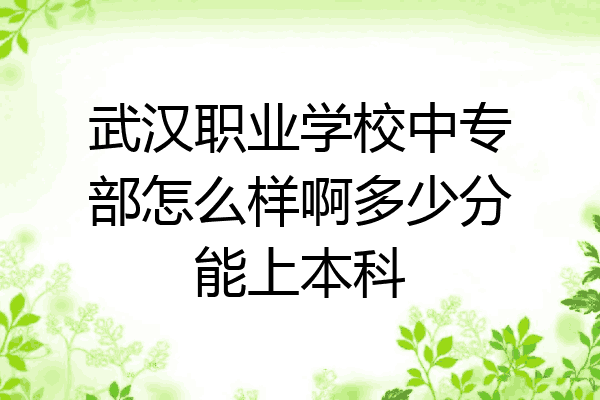 武汉职业学校中专部怎么样啊多少分能上本科