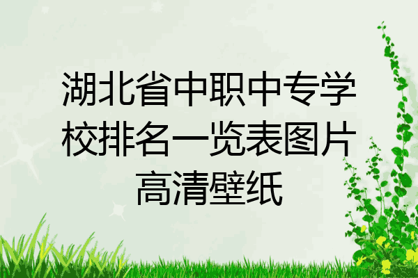 湖北省中职中专学校排名一览表图片高清壁纸